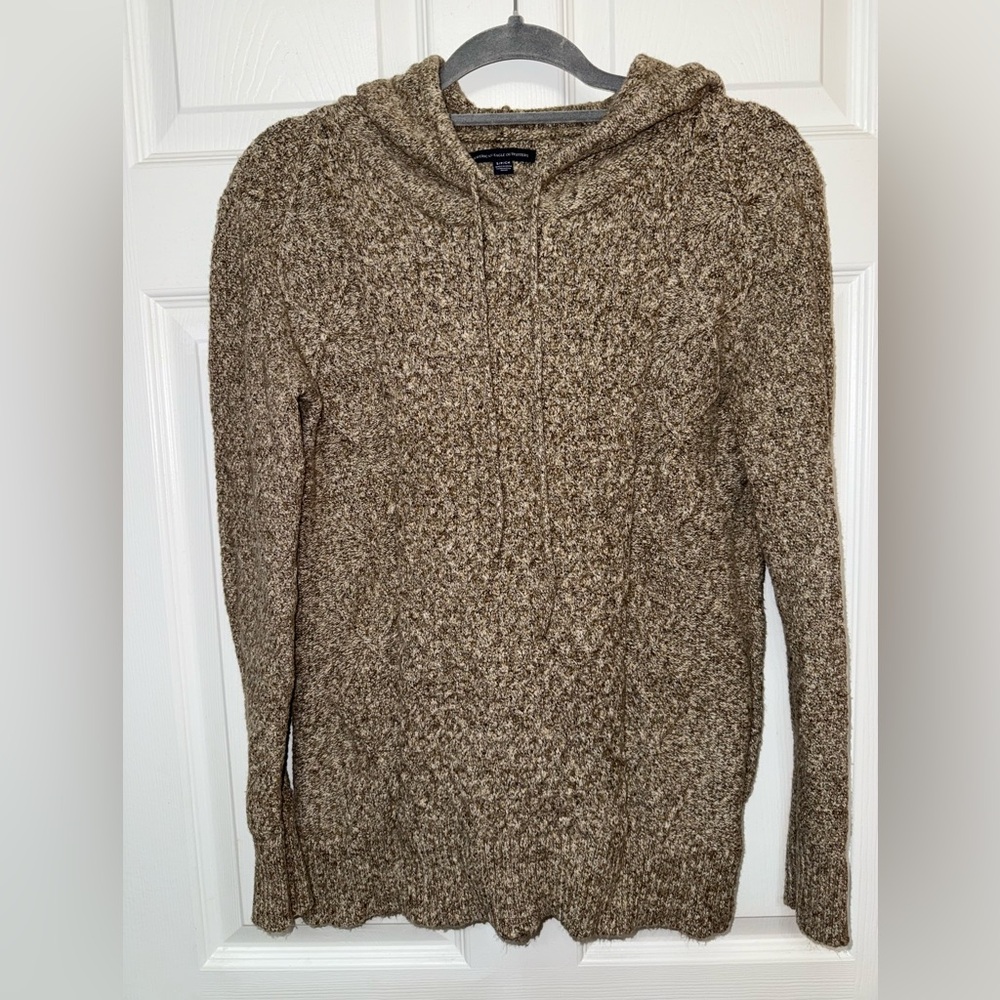 American Eagle Outfitters Hoodie Sweater